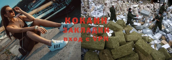 сатива Балахна