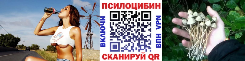 Псилоцибиновые грибы Psilocybe  Купить где  Нязепетровск 